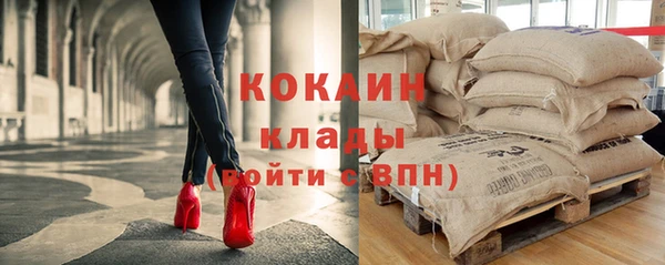амф Кукмор