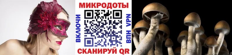 Псилоцибиновые грибы MAGIC MUSHROOMS Кяхта
