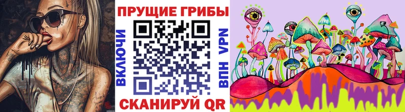 Купить где  Кяхта  Галлюциногенные грибы Magic Shrooms 